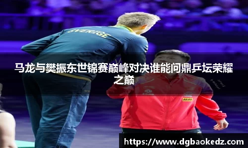 333体育官网