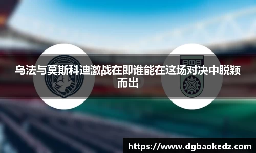 333体育app