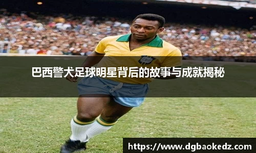巴西警犬足球明星背后的故事与成就揭秘